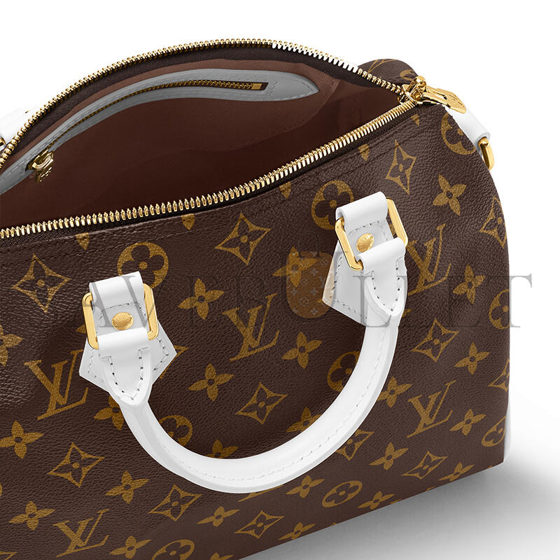 LOUIS VUITTON SPEEDY BANDOULIÈRE 25 M20754 (25*19*15cm)